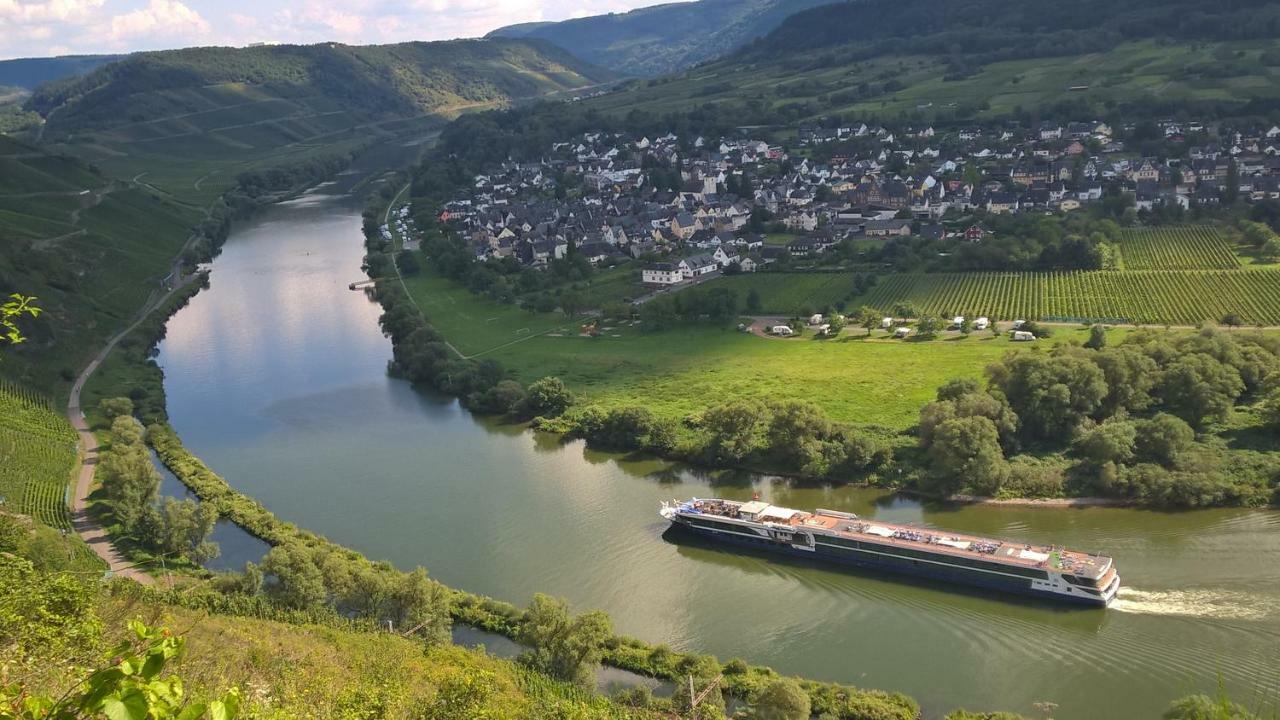 Apartamento Mosel Ausblick Zell Exterior foto