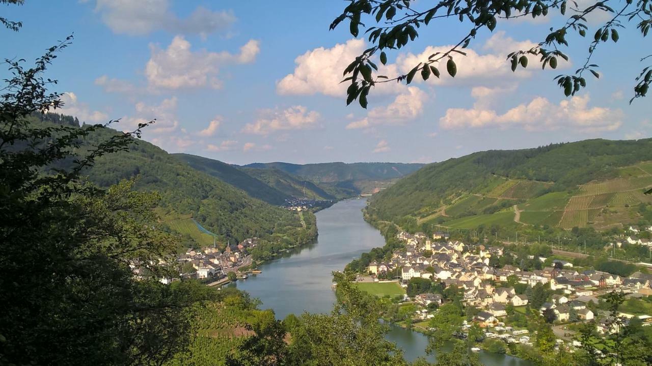Apartamento Mosel Ausblick Zell Exterior foto